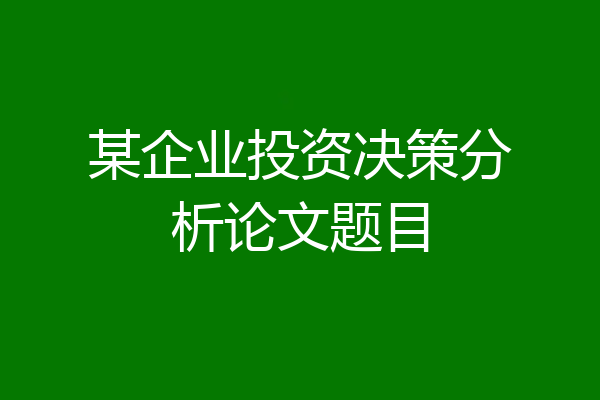 某企业投资决策分析论文题目