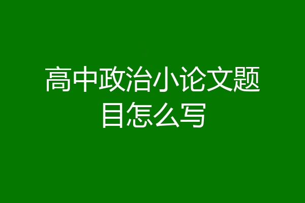 高中政治小论文题目怎么写