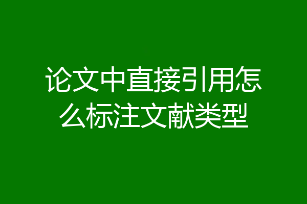 论文中直接引用怎么标注文献类型