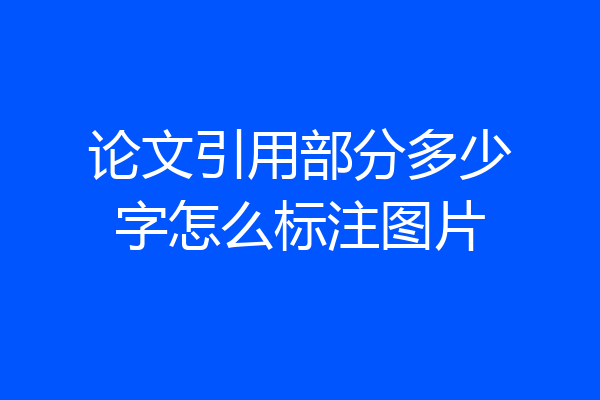论文引用部分多少字怎么标注图片