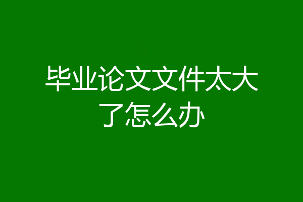 毕业论文文件太大了怎么办