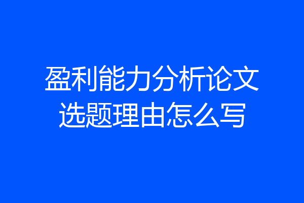 盈利能力分析论文选题理由怎么写