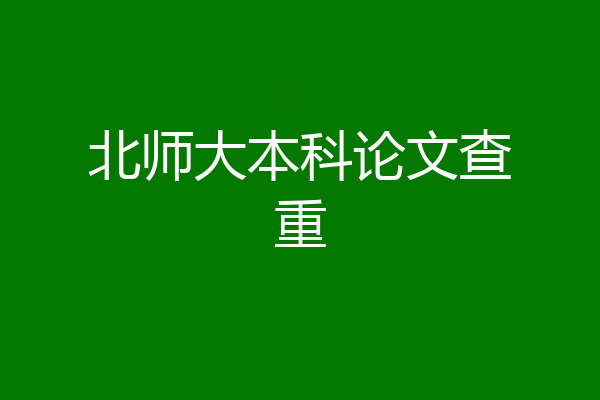 北师大本科论文查重