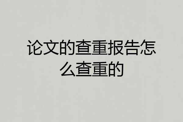 论文的查重报告怎么查重的