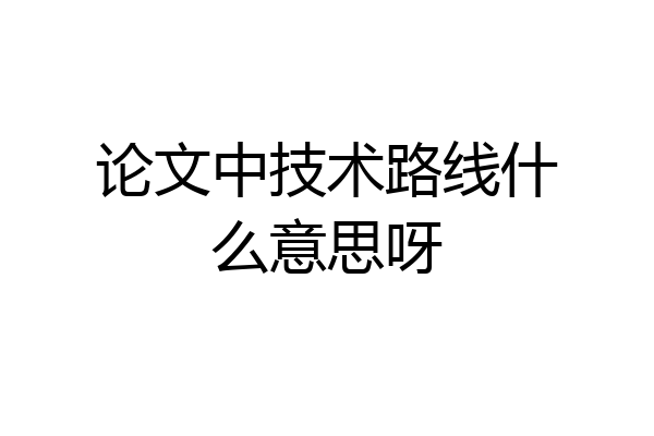 论文中技术路线什么意思呀