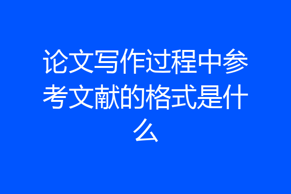 论文写作过程中参考文献的格式是什么