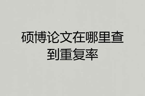 硕博论文在哪里查到重复率