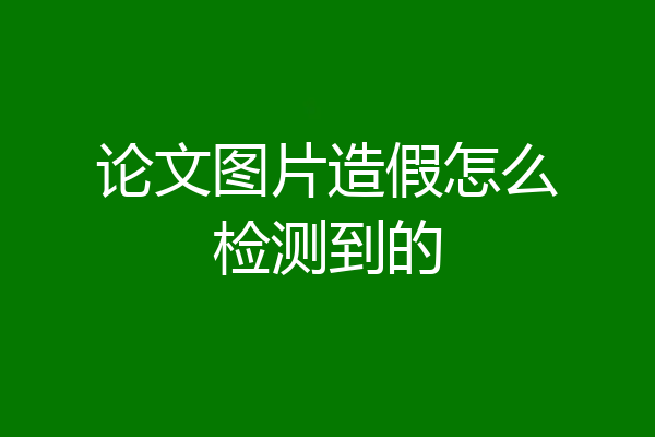 论文图片造假怎么检测到的