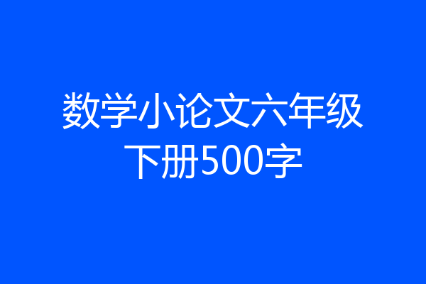 数学小论文六年级下册500字
