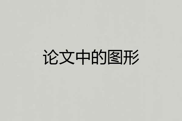 论文中的图形