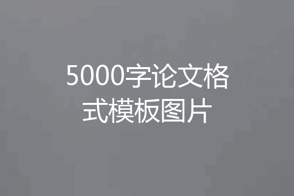 5000字论文格式模板图片