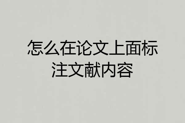 怎么在论文上面标注文献内容