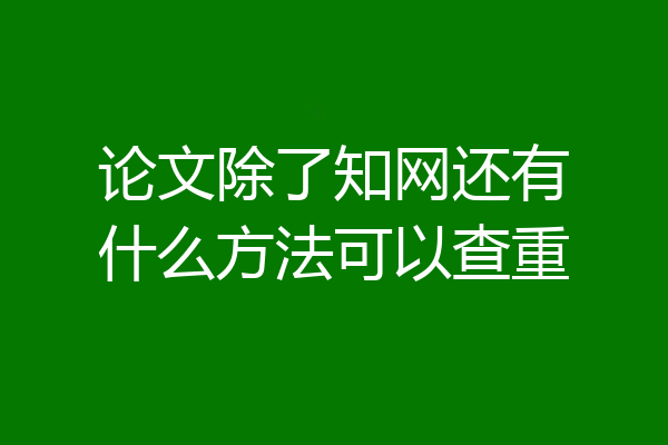 论文除了知网还有什么方法可以查重