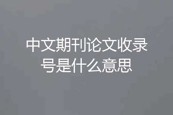中文期刊论文收录号是什么意思