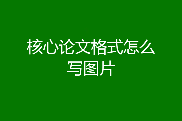 核心论文格式怎么写图片