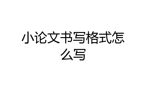 小论文书写格式怎么写