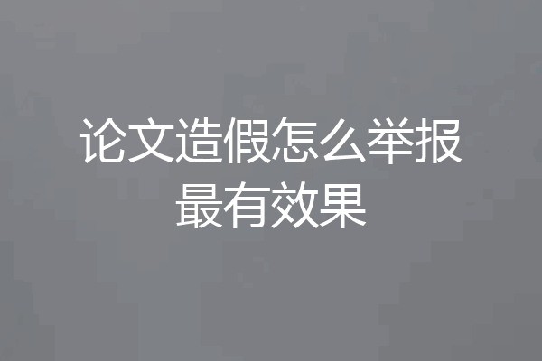 论文造假怎么举报最有效果