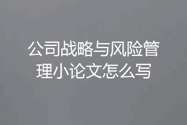 公司战略与风险管理小论文怎么写