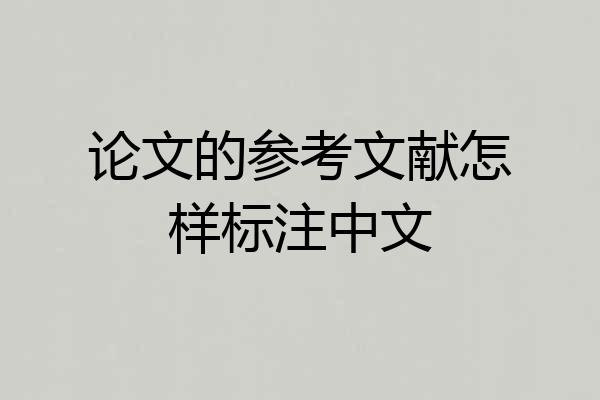 论文的参考文献怎样标注中文