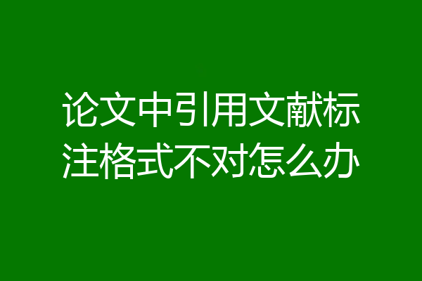 论文中引用文献标注格式不对怎么办