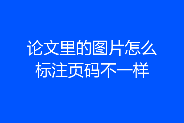 论文里的图片怎么标注页码不一样