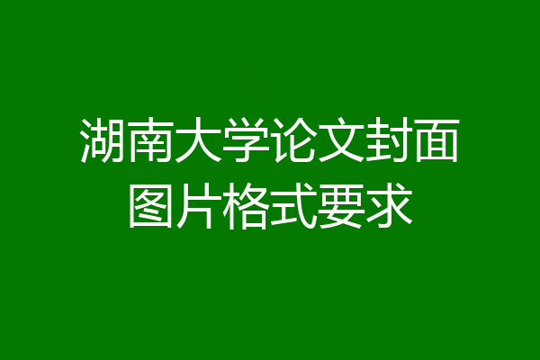 湖南大学论文封面图片格式要求