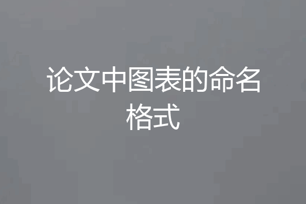 论文中图表的命名格式