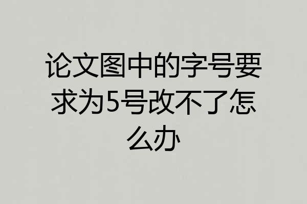 论文图中的字号要求为5号改不了怎么办