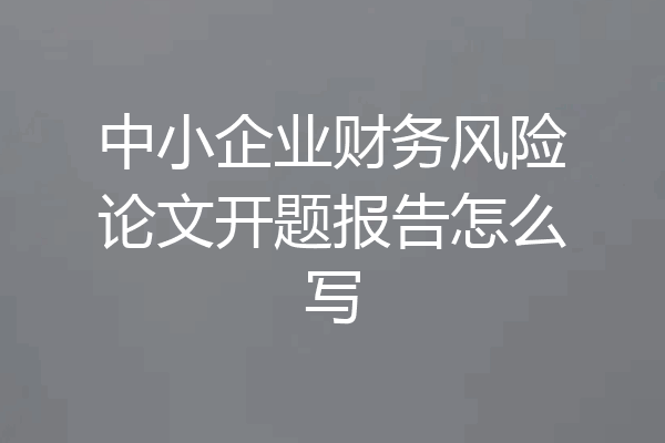 中小企业财务风险论文开题报告怎么写