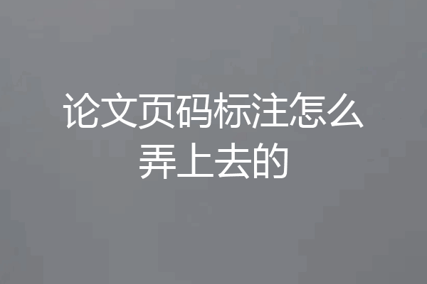 论文页码标注怎么弄上去的