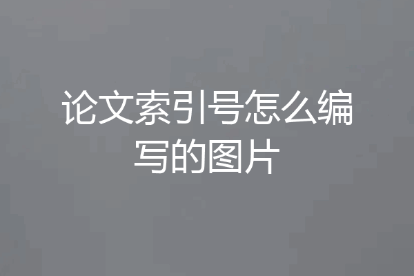 论文索引号怎么编写的图片