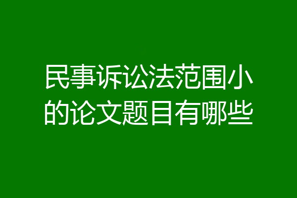民事诉讼法范围小的论文题目有哪些
