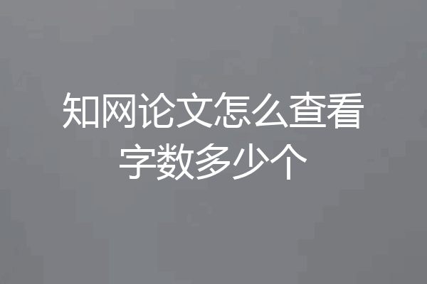知网论文怎么查看字数多少个