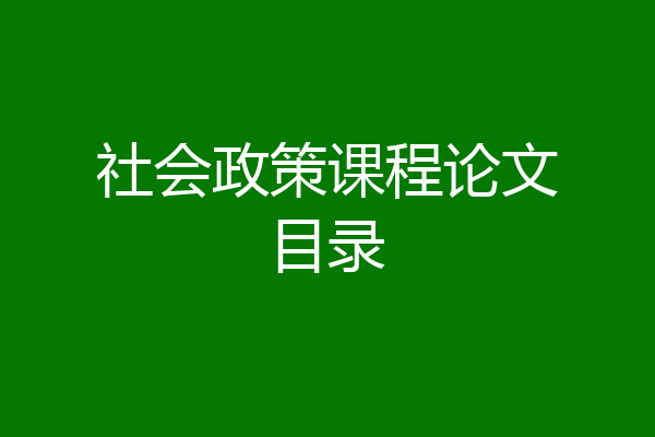 社会政策课程论文目录