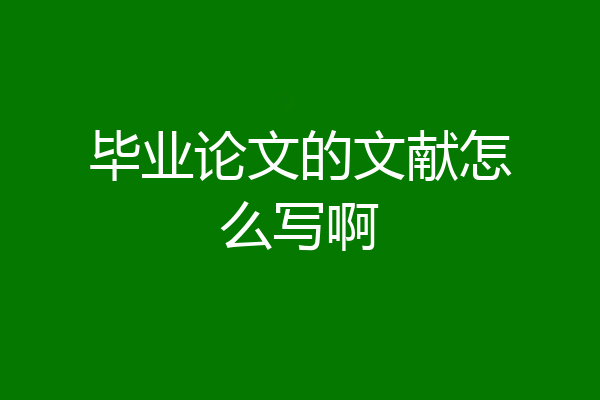 毕业论文的文献怎么写啊