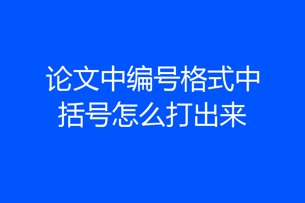 论文中编号格式中括号怎么打出来