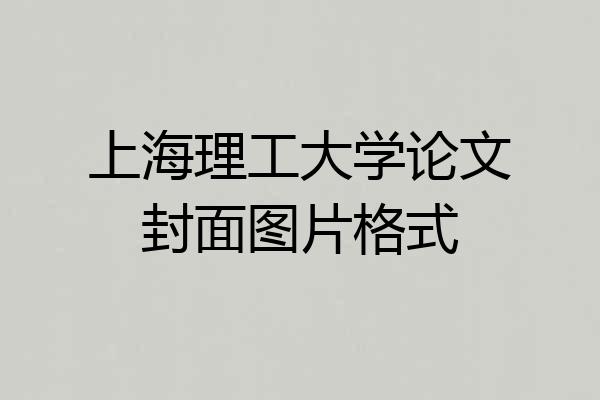 上海理工大学论文封面图片格式