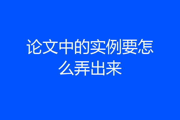 论文中的实例要怎么弄出来