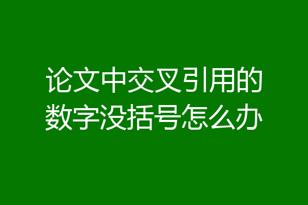 论文中交叉引用的数字没括号怎么办