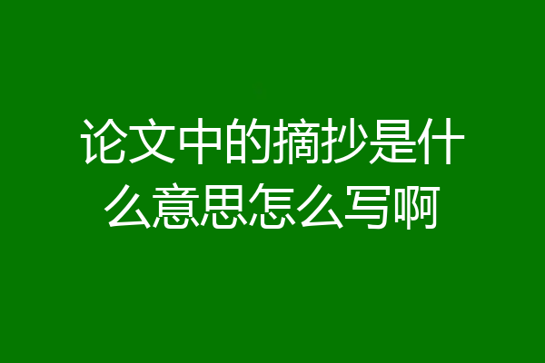 论文中的摘抄是什么意思怎么写啊
