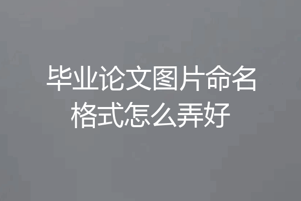 毕业论文图片命名格式怎么弄好