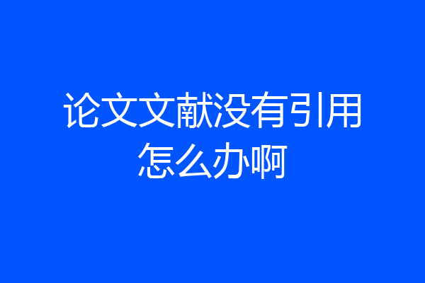 论文文献没有引用怎么办啊