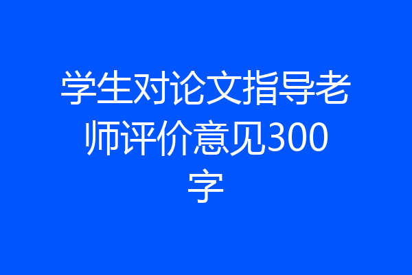 学生对论文指导老师评价意见300字
