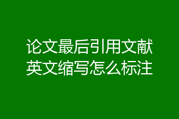论文最后引用文献英文缩写怎么标注