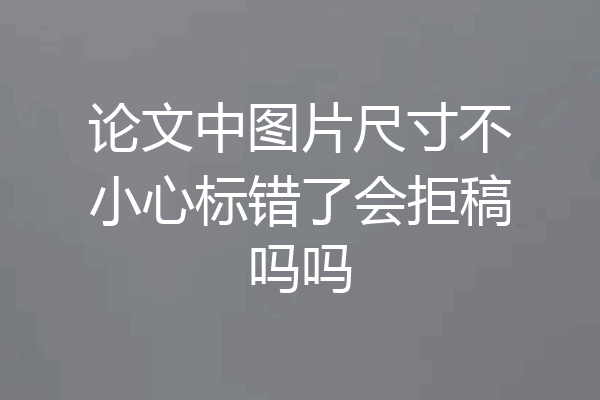 论文中图片尺寸不小心标错了会拒稿吗吗
