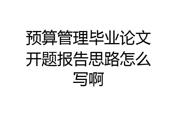 预算管理毕业论文开题报告思路怎么写啊