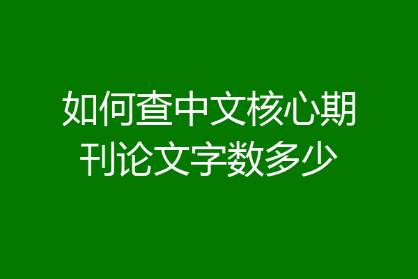 如何查中文核心期刊论文字数多少