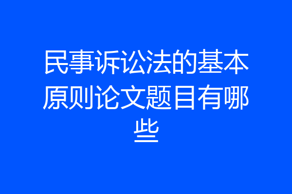 民事诉讼法的基本原则论文题目有哪些