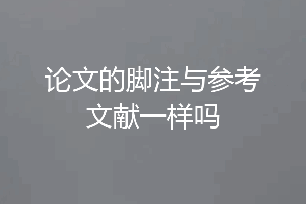 论文的脚注与参考文献一样吗