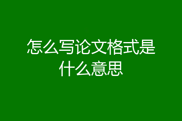 怎么写论文格式是什么意思